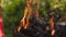 Flames of camp fire in slow motion