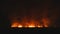 Flames from dry grass fire at night
