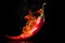 Flames on one red chili on a black background, Generative AI