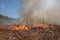 Flames and smoke from a prescribed fire burn