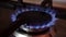 Flames in Stove Burner