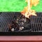 Flaming charcoal and BBBQ Grill