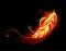 Flaming feather on black background Fire feather