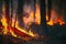 Flaming trees and sparks from fire during forest wildfire