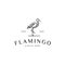 Flamingo animal line logo vector