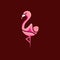 Flamingo Animal Silhouette Illustration Vector Logo