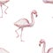 Flamingo Animals cartoon cute muzzles scandinavian style. Hand-drawn illustration of children