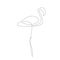 Flamingo animals on white background line draw