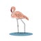 Flamingo beautiful pink bird stands in water lineart