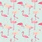 Flamingo Bird Background