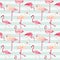 Flamingo Bird Background
