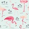 Flamingo Bird Background