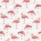 Flamingo Bird Background . Seamless vector pattern