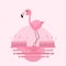 Flamingo bird cartoon on the swamp flat background vector design.