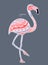 Flamingo bird with ethnic ornaments