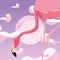 Flamingo bird moon background