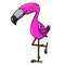 Flamingo bird standing on one leg illustration