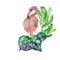 Flamingo, colorful summer leaves watercolor illustration on white