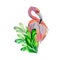 Flamingo, colorful summer leaves watercolor illustration on white