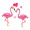 Flamingo couple.Exotic bird illustration vector.Bird couple.