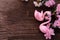 Flamingo couple in love with pink cherry blossom on wood table