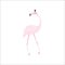 Flamingo cute print