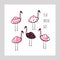 Flamingo with different patterns collection. Card, postcard, print, wall poster with pink birds