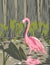 Flamingo in the Everglades National Park Located in Florida United States of America WPA Poster Art