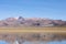 A flamingo flies over HuayÃ±acota lagoon. Bolivia.