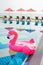 Flamingo float around swimming pool in hotel resort with umbrella and chair in hotel resort