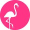 Flamingo in front of pink moon