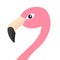 flamingo head pictures