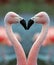 Flamingo heart