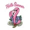 Flamingo hello summer vector illustration