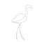 Flamingo line drawing, vector illustration