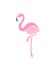 Flamingo. Logo