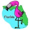 Flamingo over the state of Florida map illustration