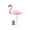 Flamingo Playing Ethnic Drum, Cute Cartoon Bird Musician Character Playing Musical Instrument Vector Illustration