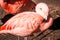 Flamingo preening feathers at the John Ball Zoo