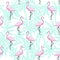 Flamingo seamless pattern.