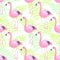 Flamingo seamless pattern. Pink exotic bird background.