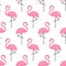 Flamingo seamless pattern on white background.