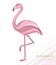 Flamingo. Silhouette of flamingos. A tropical bird. Vector. Logo.