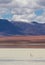 Flamingo, standing in the lake, bolivia