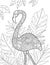 Flamingo Standing With Leafy Background Colorless Line Drawing. Beautiful Swan Stands In Blooming Leaves Coloring Book