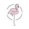 Flamingo staying on one leg vector