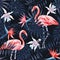 Flamingo strelitzia palm leaves dark background pattern