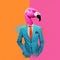 Flamingo in a suit. Modern human body with flamingo head in a bright business suit.