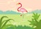 Flamingo swamp habitat flat cartoon vector wild animals birds