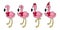 Flamingo vector Christmas hat Santa Claus Xmas cartoon character pink flamingos collection illustration Cute animal exotic nature